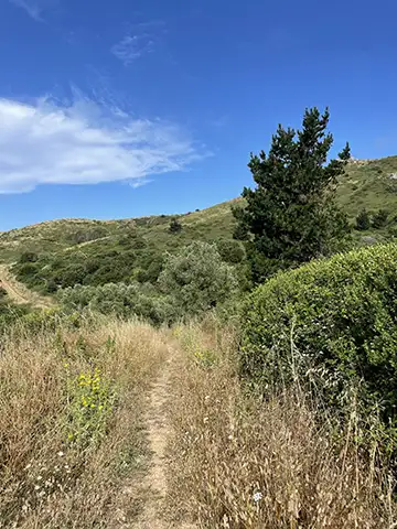 chemin de campagne symbolisant le parcours intérieur